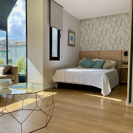 아파트 Luxury Loft With Terrace 라스팔마스